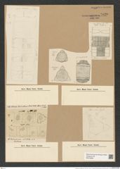 Lithodesmium undulatum Ehr. (de-Toni-Nr.: Genus 144, Species 4087) Zeichnungen Sammlung Grunow Nr. 7630 (NHMW-BOT-W0376809)